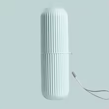Travel Toothbrush Organizer Case